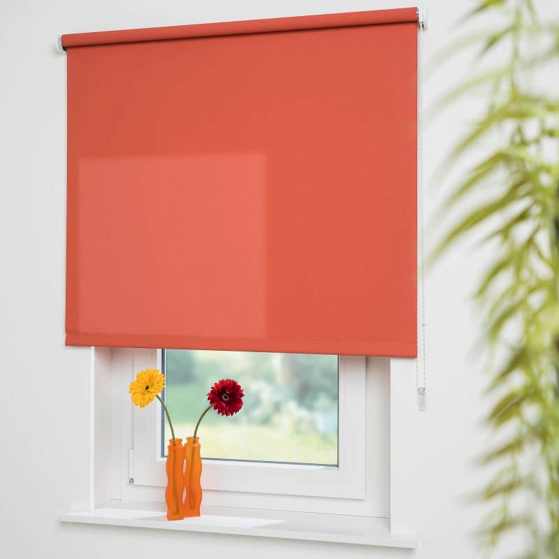 Liedeco Seitenzugrollo »Uni«, Lichtschutz, mit Bohren, freihängend, Welle 36 mm stabiler Kettenzug von LIEDECO