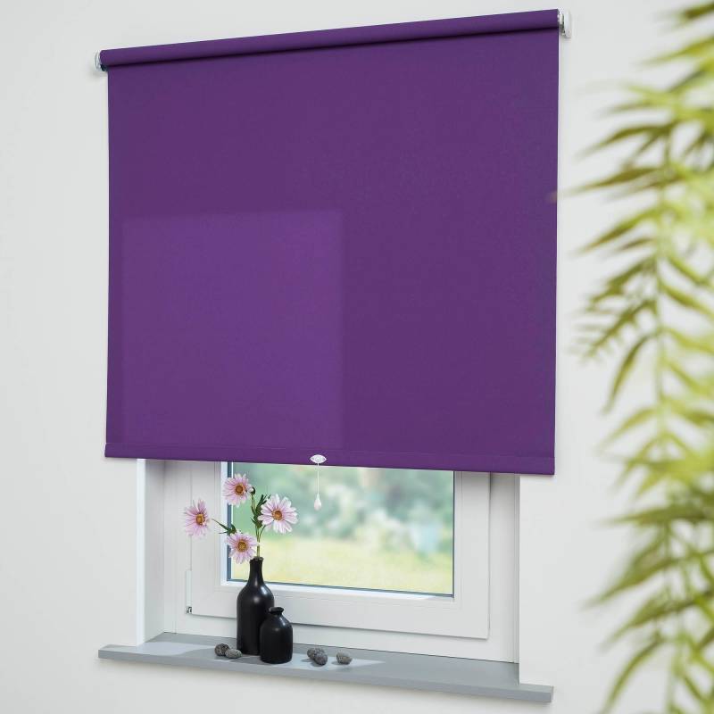 Liedeco Springrollo »Uni«, Lichtschutz, freihängend, lichtdurchlässig von LIEDECO