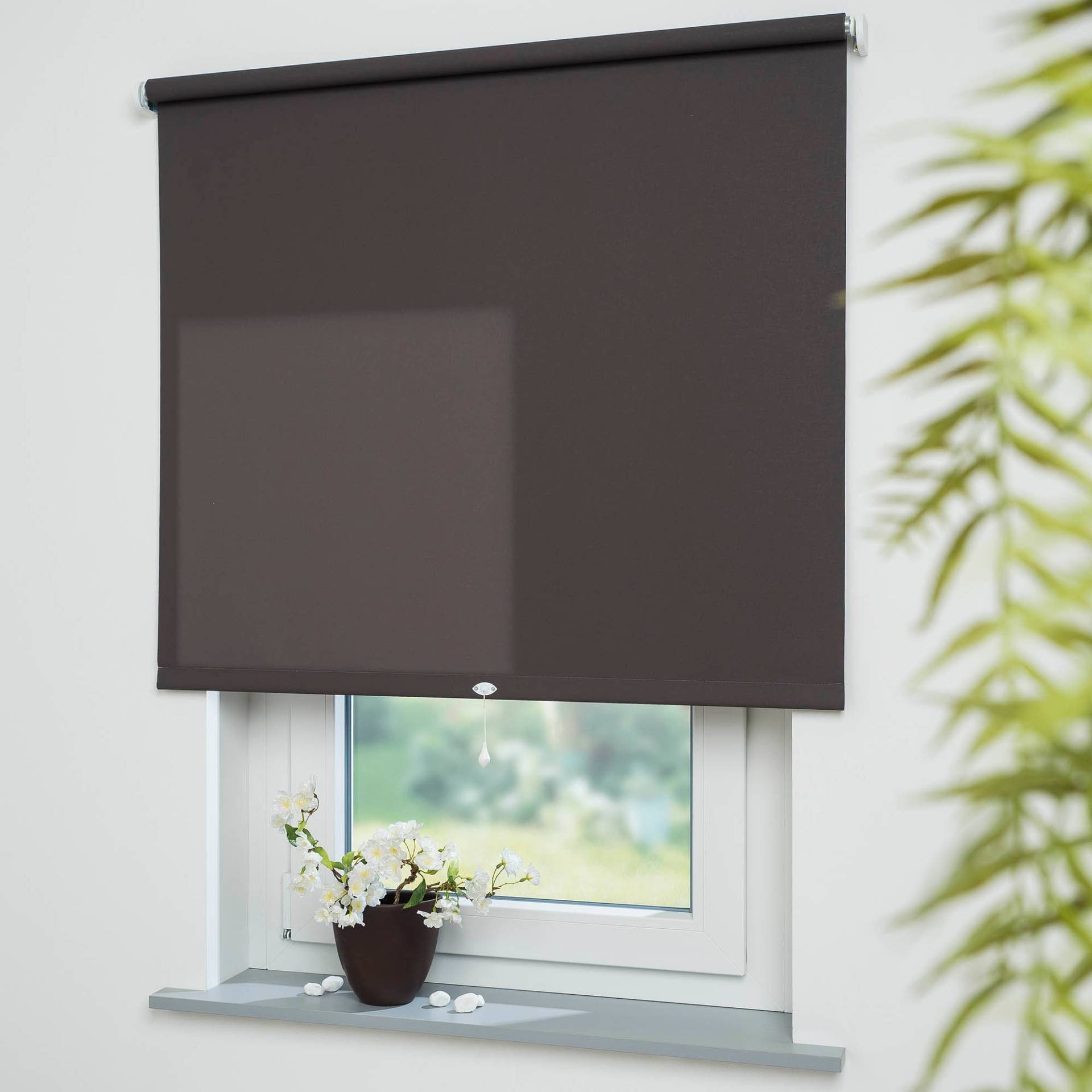 Liedeco Springrollo »Uni«, Lichtschutz, freihängend, lichtdurchlässig Liedeco Springrollo »Uni«, Lichtschutz, freihängend, lichtdurchlässig von LIEDECO