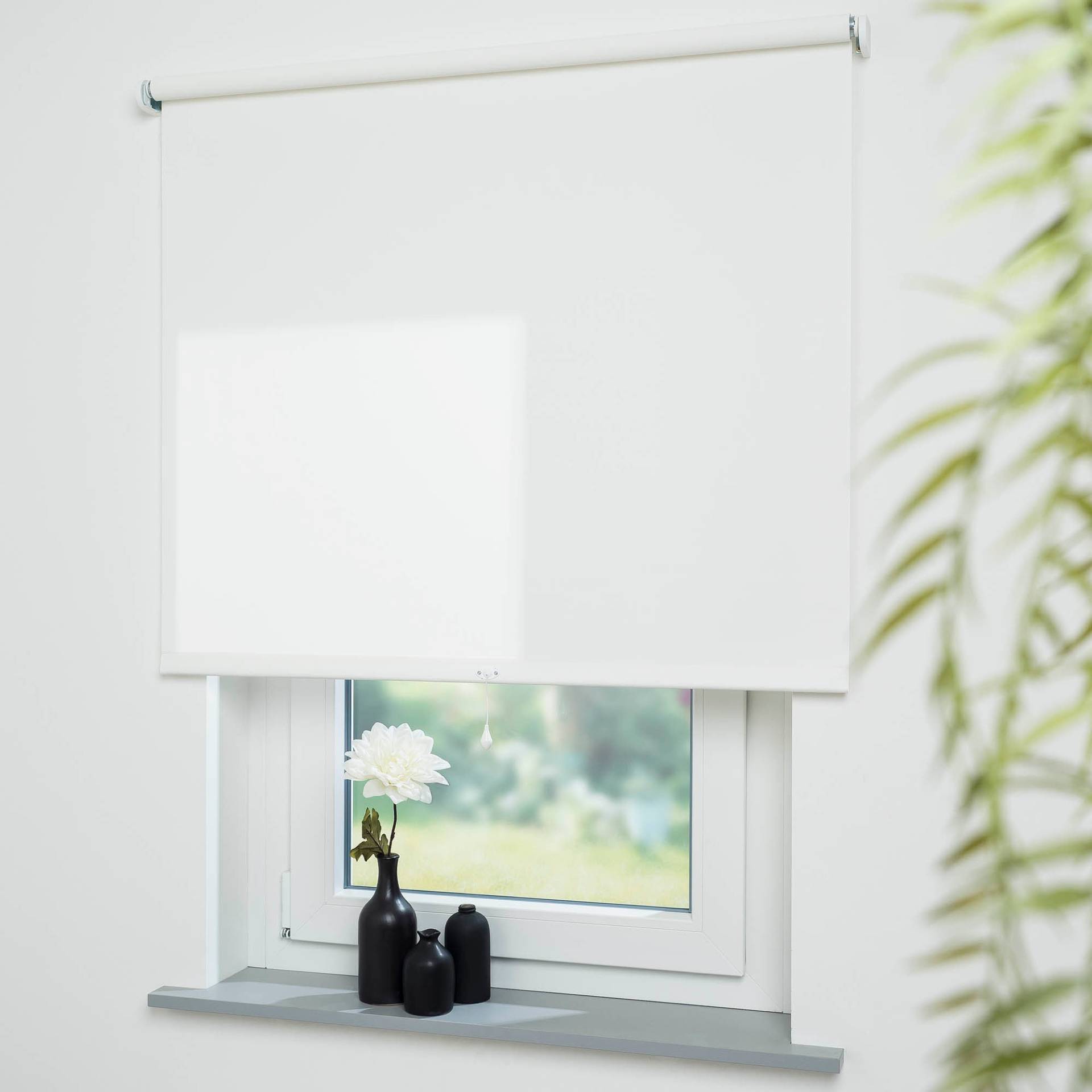 Liedeco Springrollo »Uni«, Lichtschutz, freihängend, lichtdurchlässig Liedeco Springrollo »Uni«, Lichtschutz, freihängend, lichtdurchlässig von LIEDECO