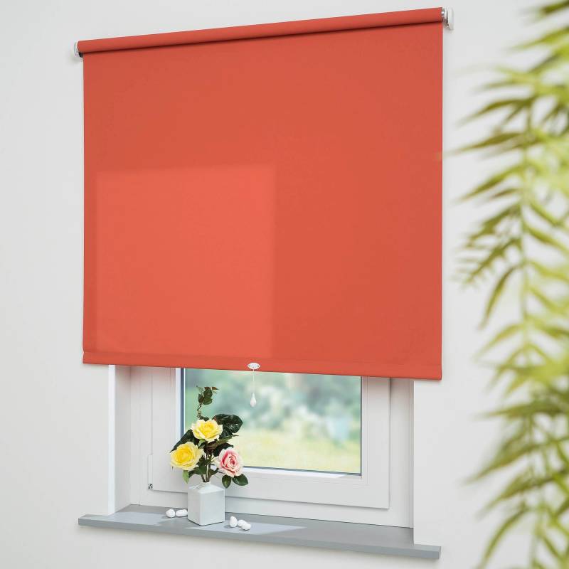 Liedeco Springrollo »Uni«, Lichtschutz, mit Bohren, freihängend, Rollowelle 36 mm, starke Feder von LIEDECO