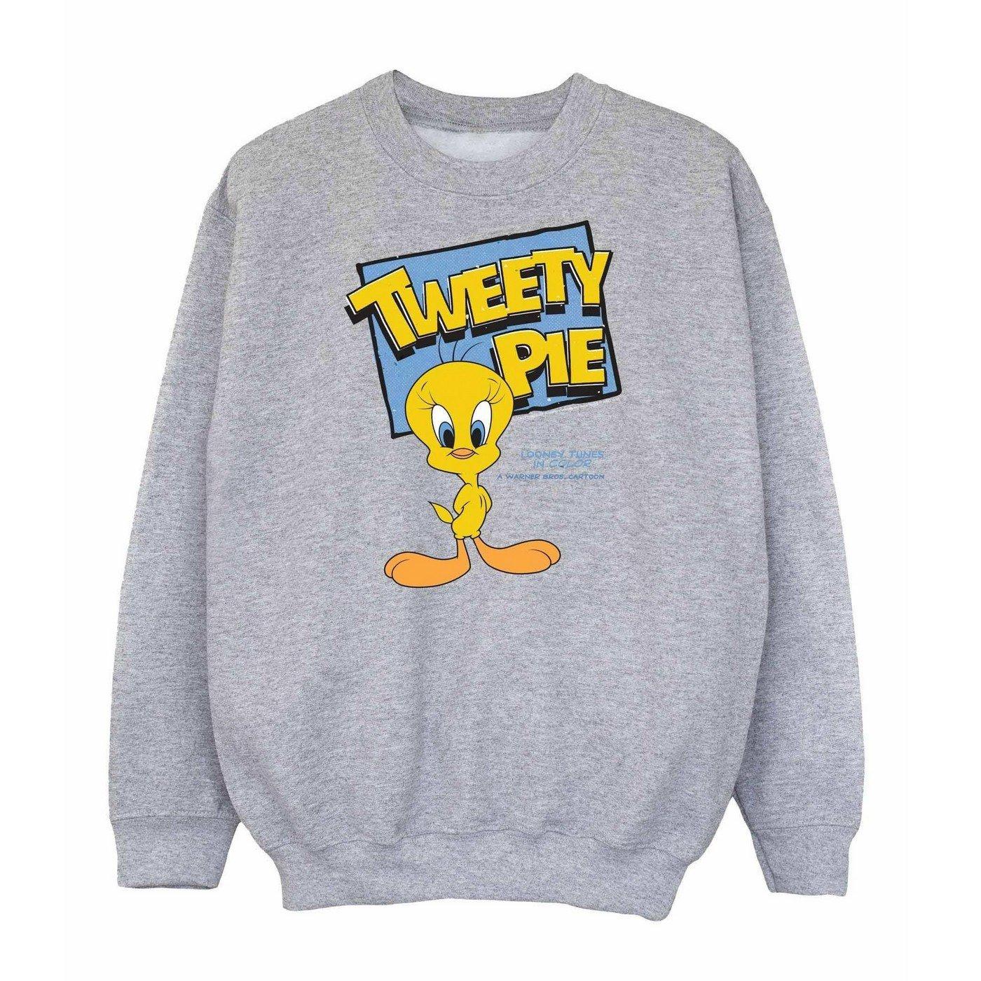 Classic Sweatshirt Mädchen Grau 152-158 von LOONEY TUNES