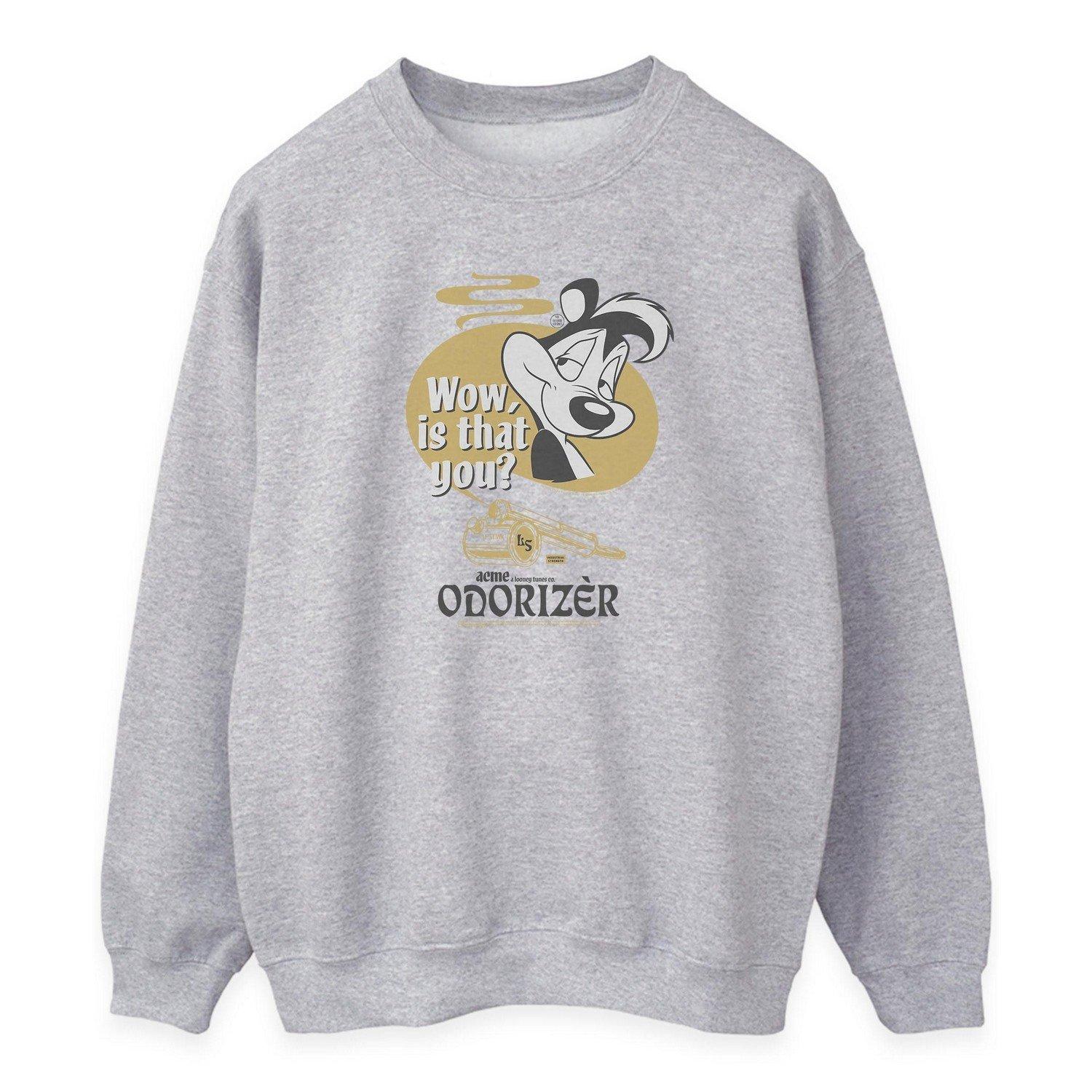 Odorizer Sweatshirt Damen Grau XL von LOONEY TUNES
