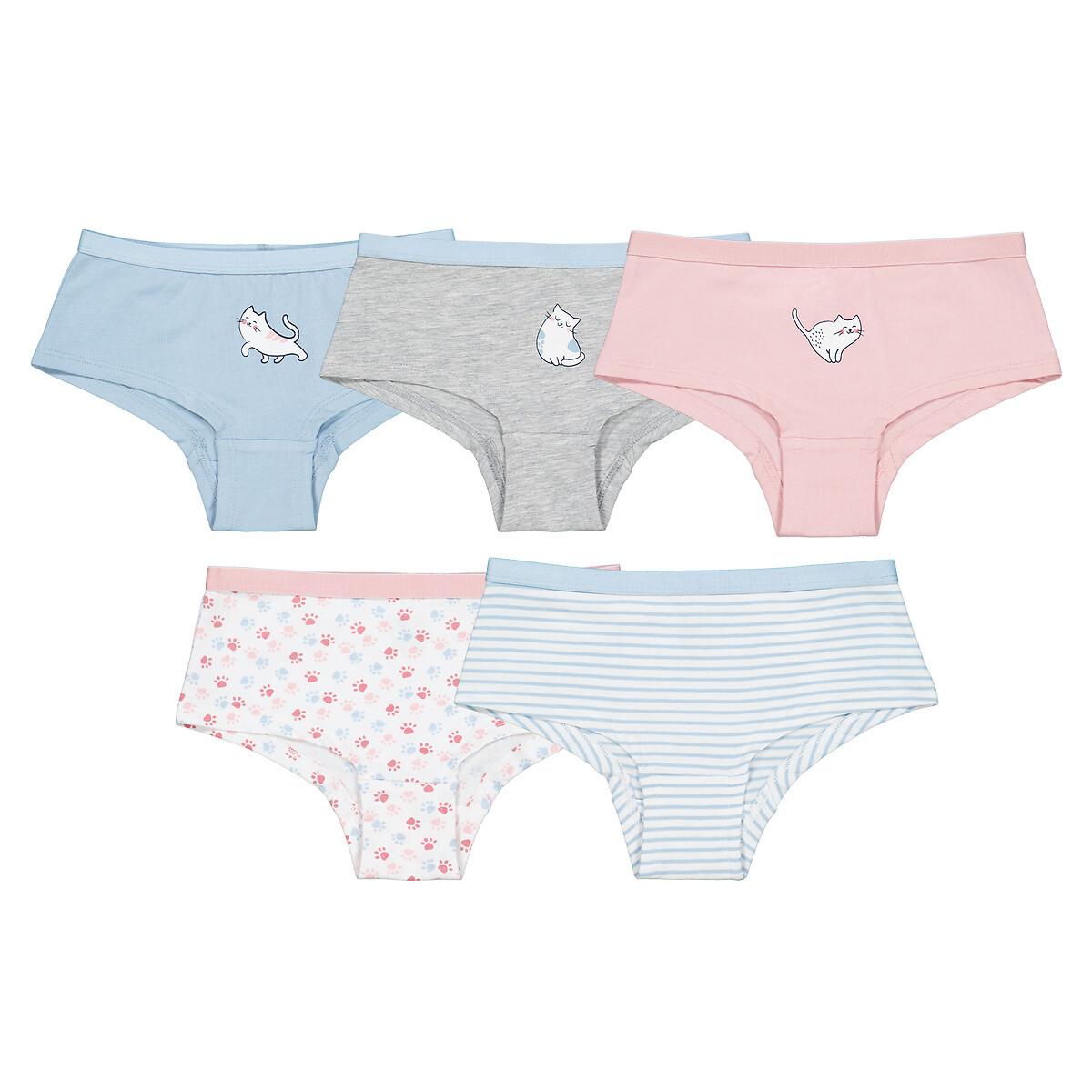 5er-pack Shortys Katze Mädchen Grau 8-10A von La Redoute Collections