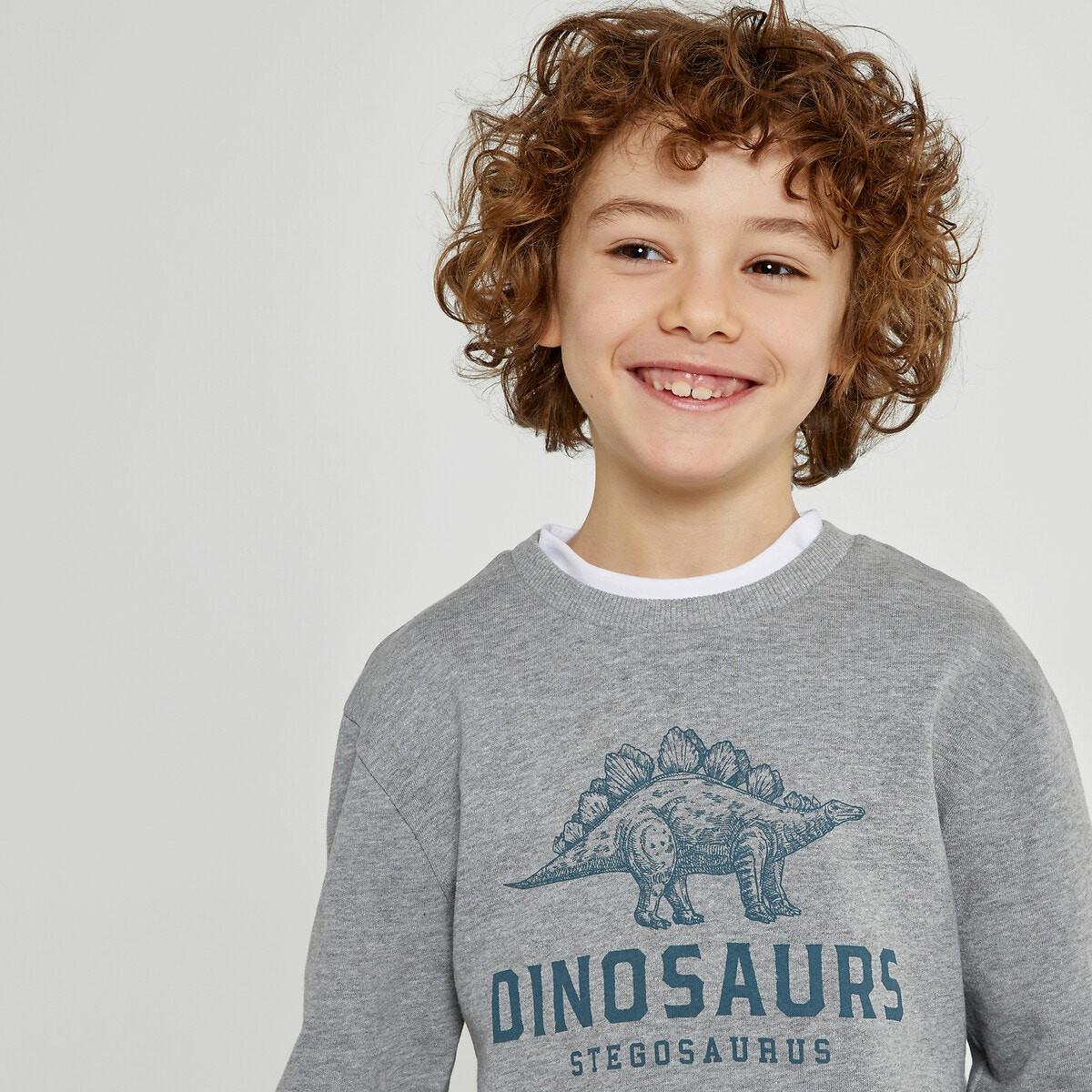 Sweatshirt Mit Rundhals Jungen Grau 102 von La Redoute Collections