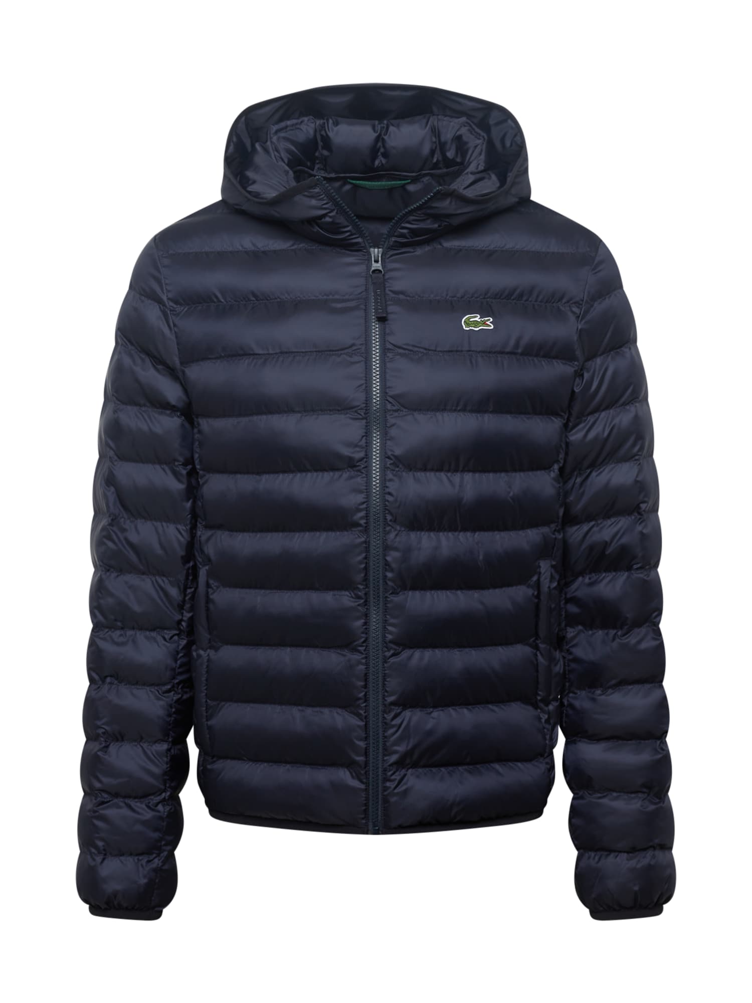 Winterjacke Winterjacke von Lacoste