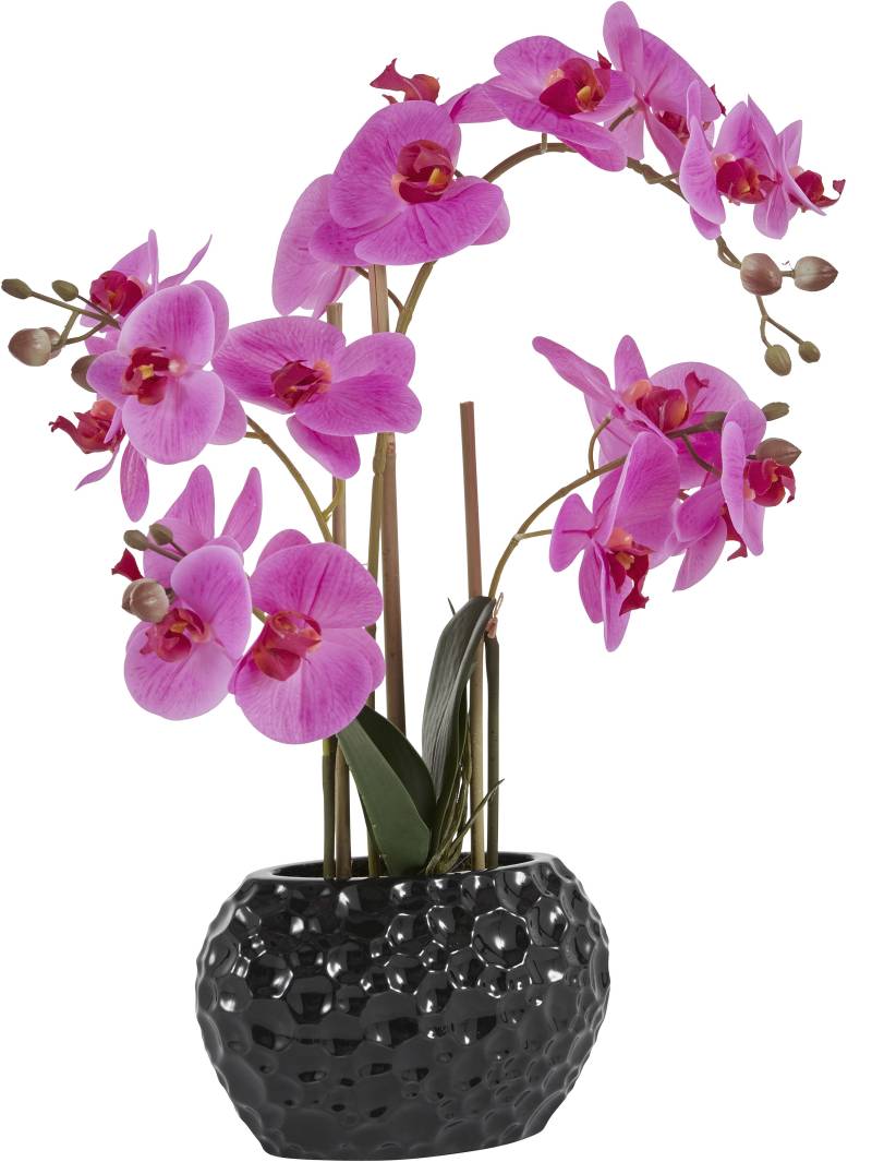 Leonique Kunstpflanze »Orchidee« von Leonique