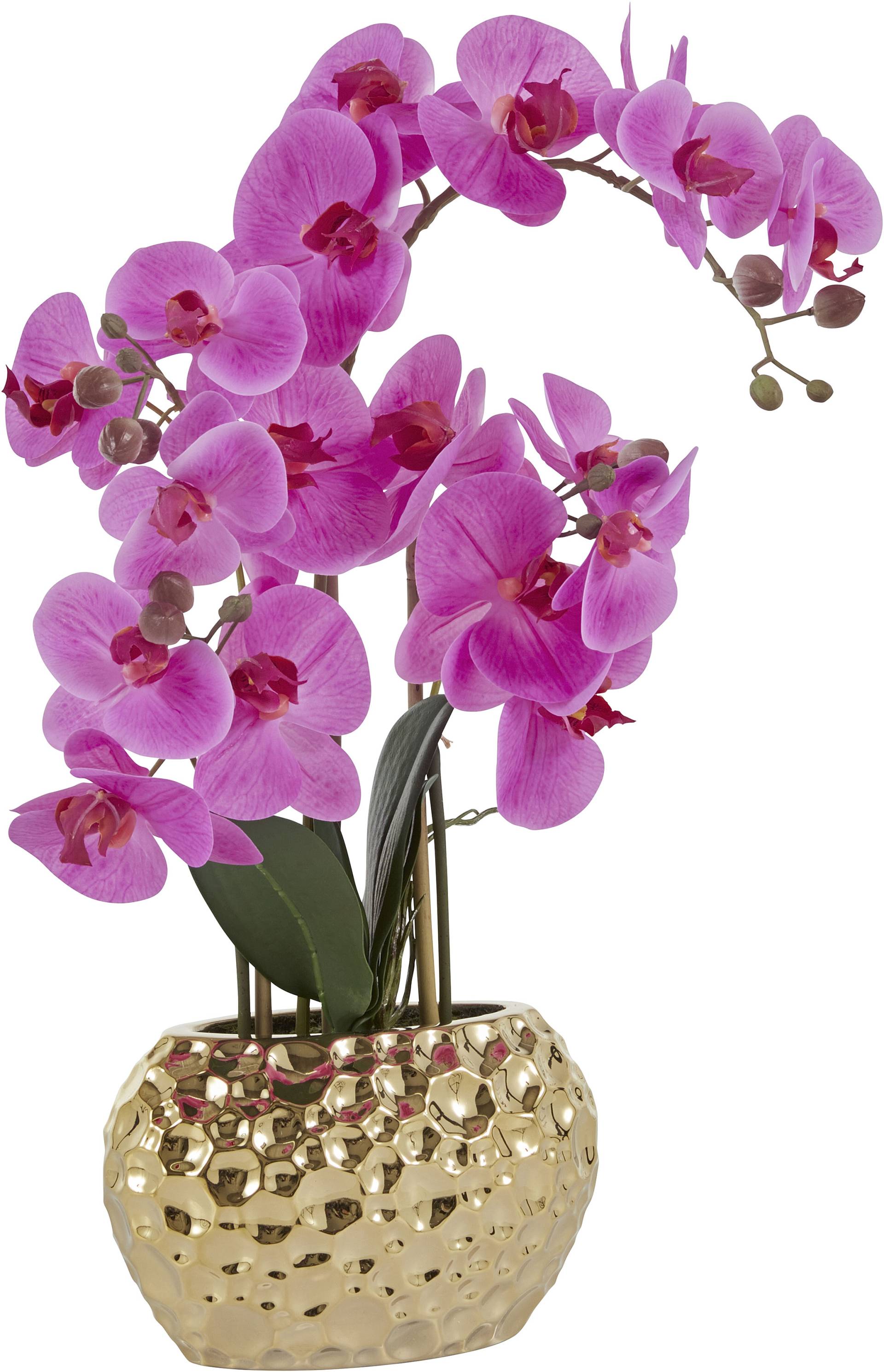 Leonique Kunstpflanze »Orchidee« von Leonique