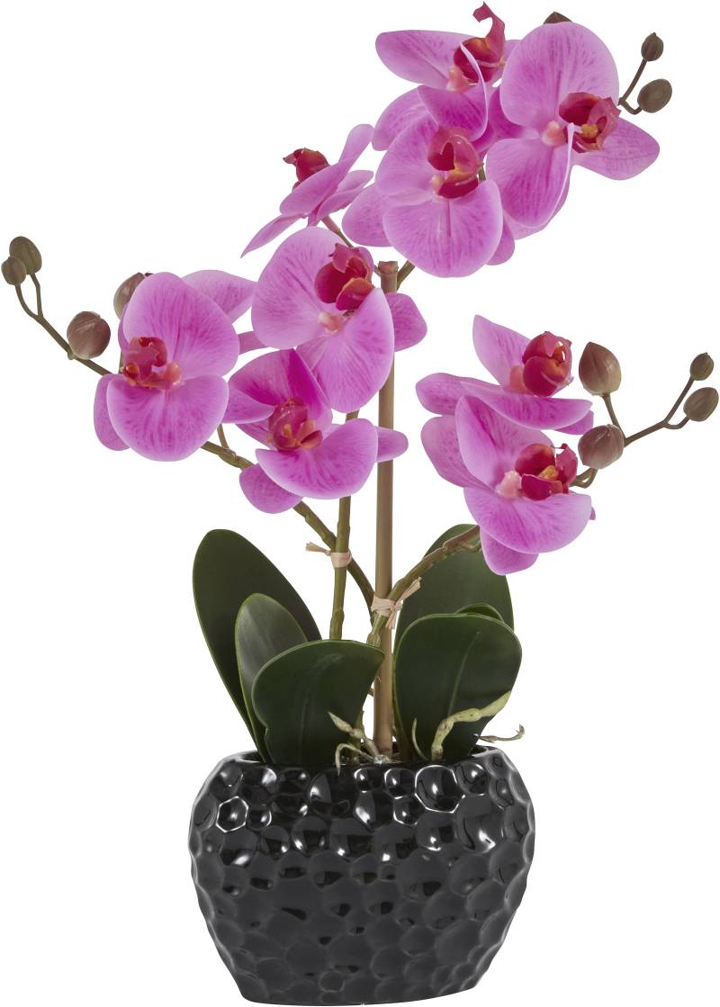 Leonique Kunstpflanze »Orchidee«, Kunstorchidee, im Topf, Bestseller, über 2500 4,5-Sterne-Bewertungen von Leonique