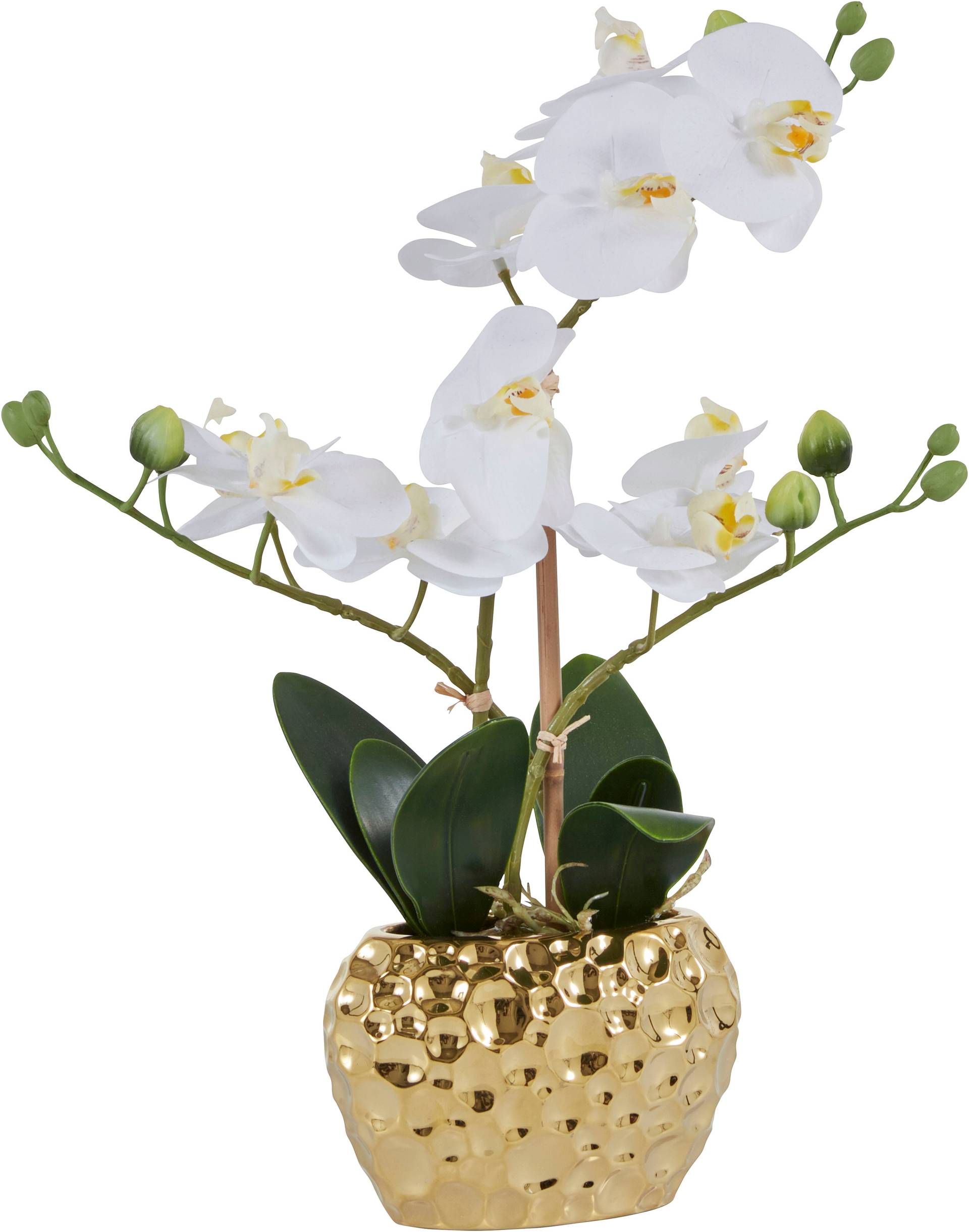 Leonique Kunstpflanze »Orchidee« von Leonique