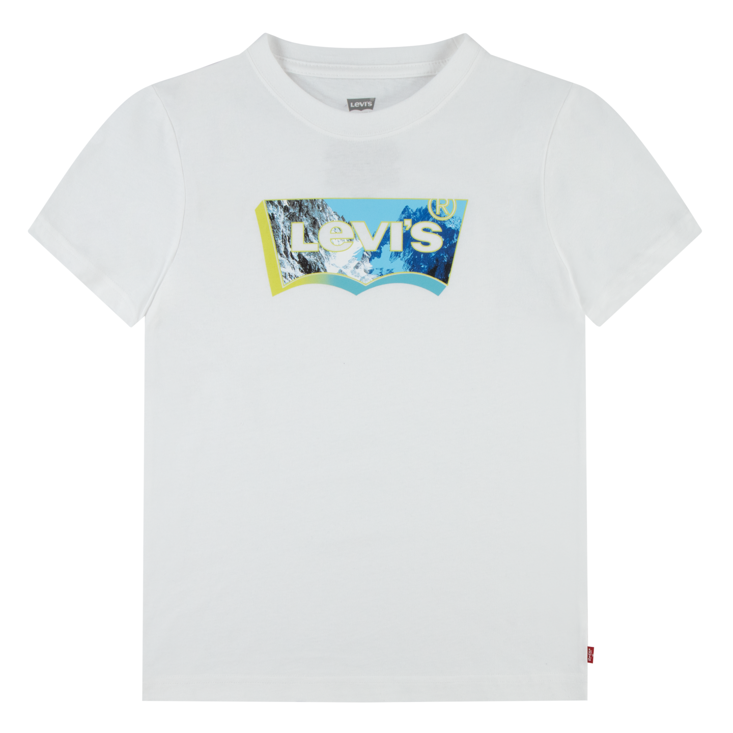 Levi's® Kids T-Shirt, mit Batwing-Logoprint mit Landschaft in 3-D-Optik von Levi's® Kids