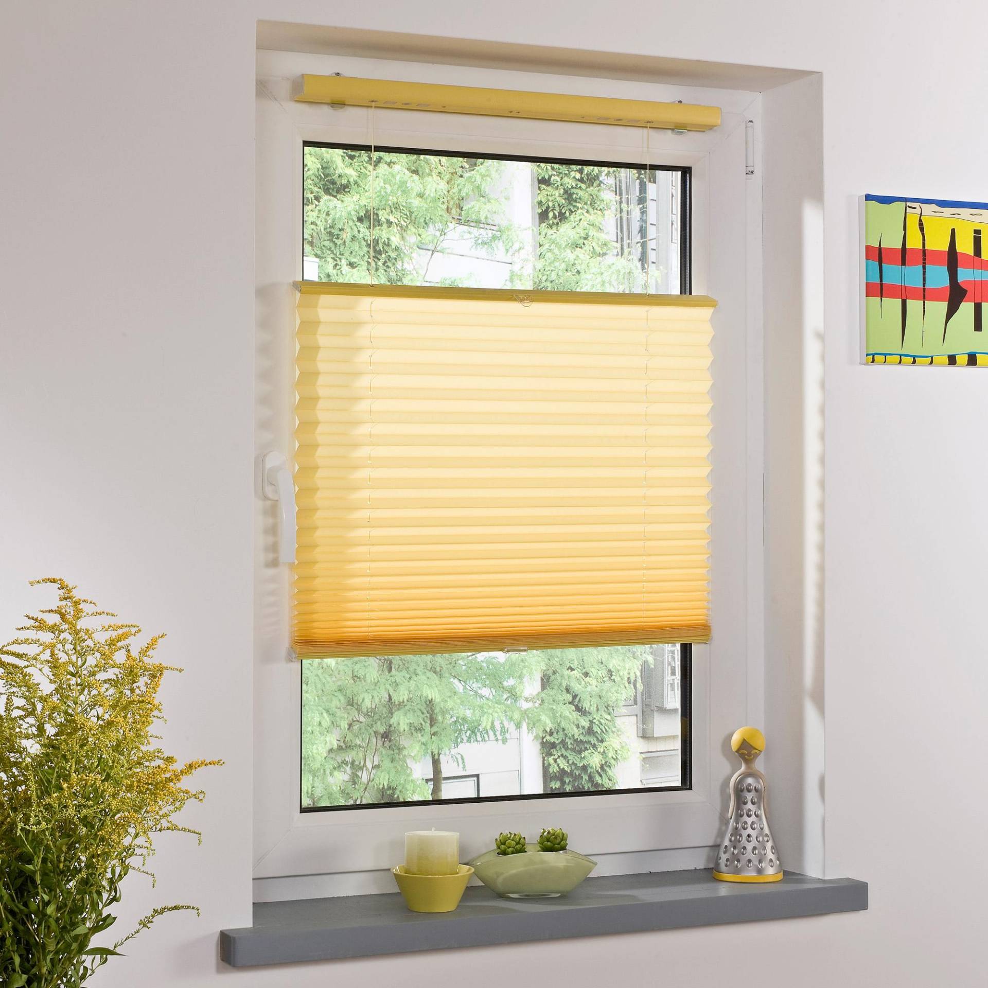 Liedeco Jalousie, Faltenstore, Lichtschutz Liedeco Jalousie, Faltenstore, Lichtschutz von LIEDECO