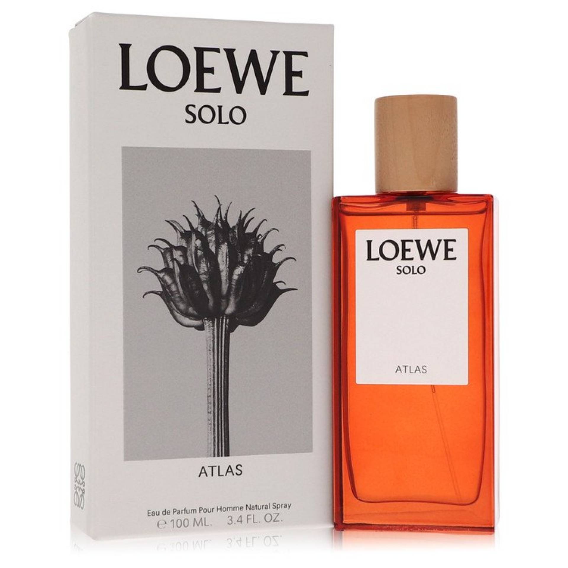 Loewe Solo Atlas Eau De Parfum Spray 101 ml von Loewe
