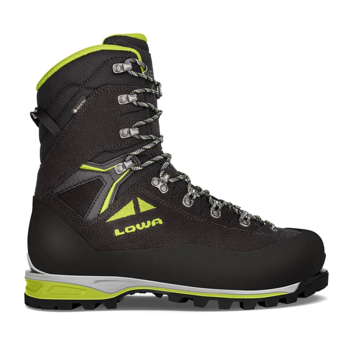 Lowa Alpine Expert GTX DT HI Wanderschuhe schwarz von Lowa