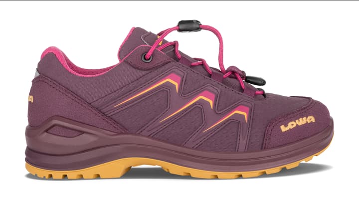 Lowa Maddox GTX Low Multifunktionsschuhe grau von Lowa