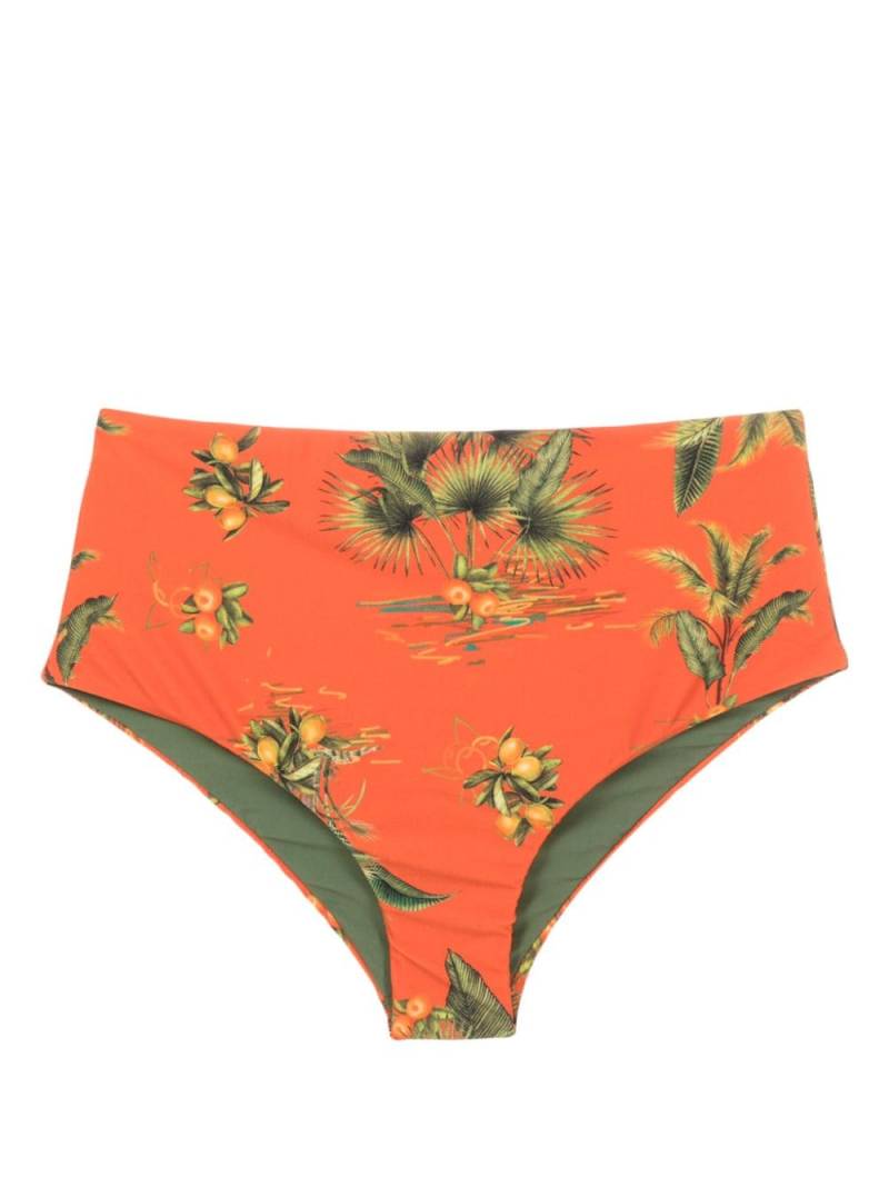 Lygia & Nanny Violeta botanical-print bikini bottoms - Orange von Lygia & Nanny