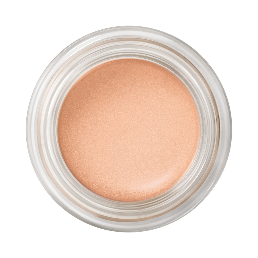 MAC  MAC Pro Longwear Paint Pot lidschatten 5.0 g von MAC