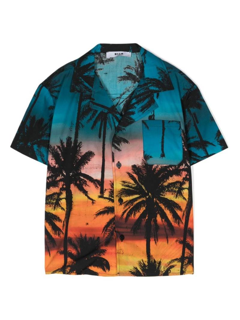 MSGM Kids palm-tree print shirt - Blue von MSGM Kids