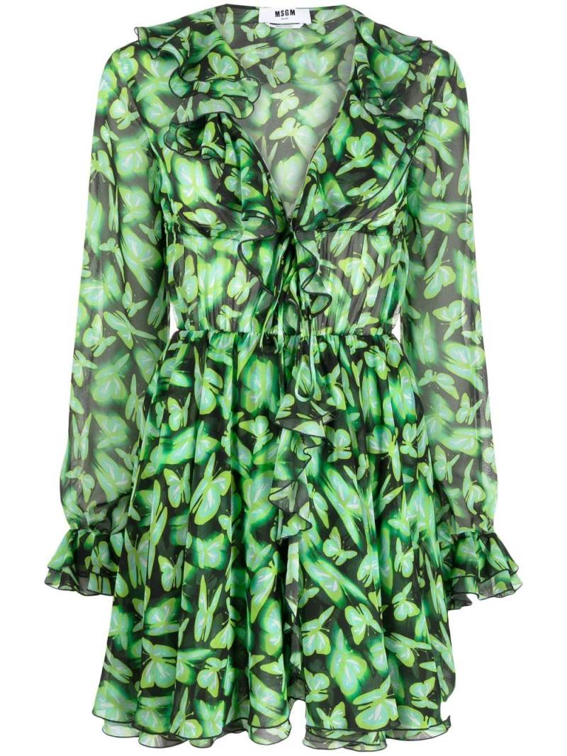MSGM butterfly pattern mini dress - Green von MSGM