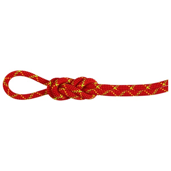 Mammut - 8.0 Alpine Core Protect Dry Rope - Einfachseil Gr 30 m rot/weiß von Mammut