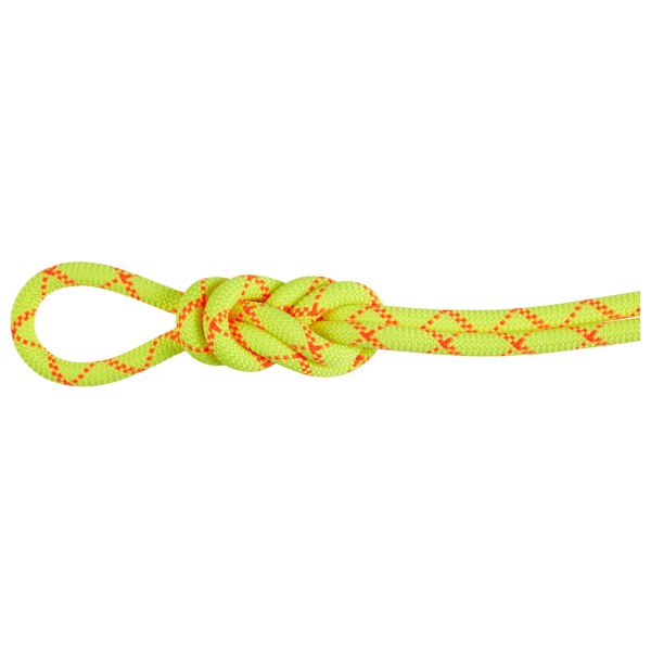 Mammut - 9.5 Alpine Core Protect Dry Rope - Einfachseil Gr 70 m gelb von Mammut