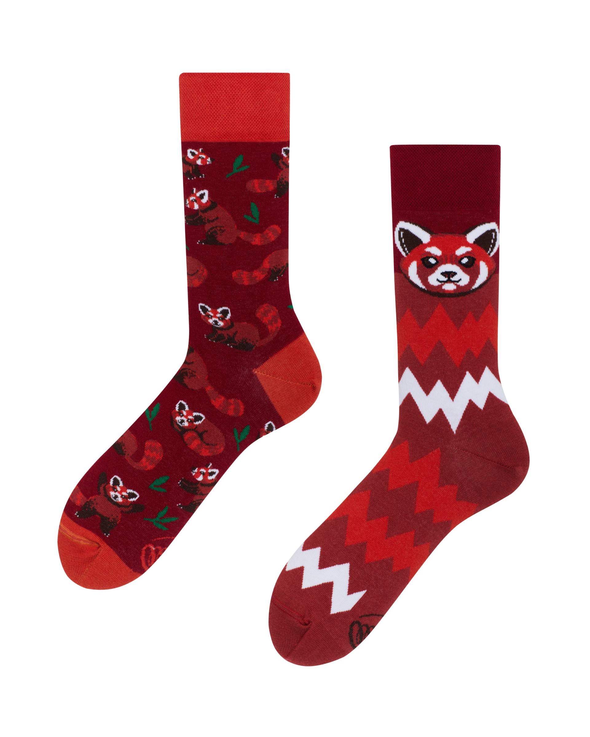 Red Panda Socks - Herren Multicolor 35-38 von Many Mornings