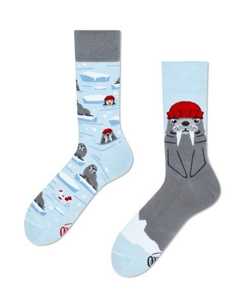 The Walrus Socks - Herren Multicolor 43-46 von Many Mornings