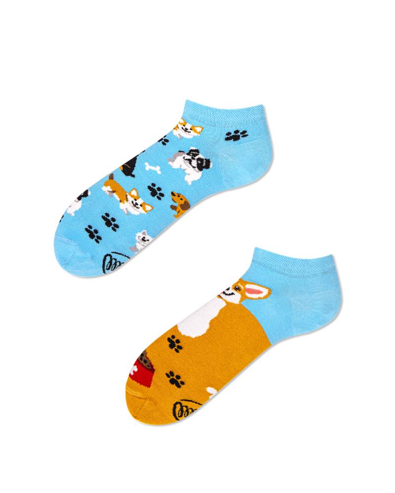 Playful Dog Sneakersocks - Herren Multicolor 43-46 von Many Mornings