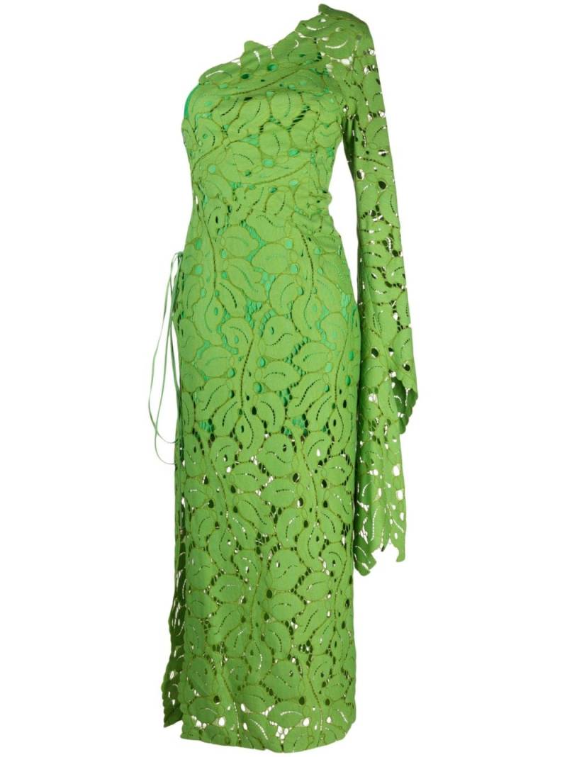 Maria Lucia Hohan Hart floral-lace one-shoulder dress - Green von Maria Lucia Hohan
