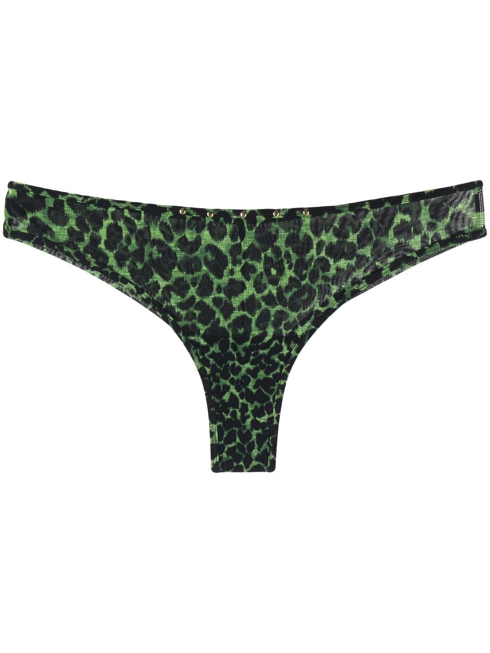 Marlies Dekkers Rhapsody leopard print briefs - Green von Marlies Dekkers