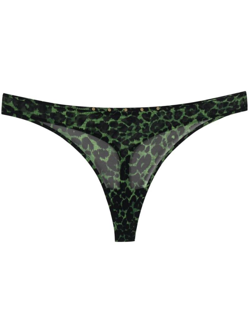 Marlies Dekkers Rhapsody leopard print thong - Green von Marlies Dekkers