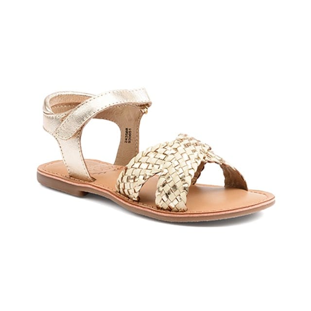 Mod'8 Canibraid-38 38 Mod'8 Canibraid-38 38 von Mod'8