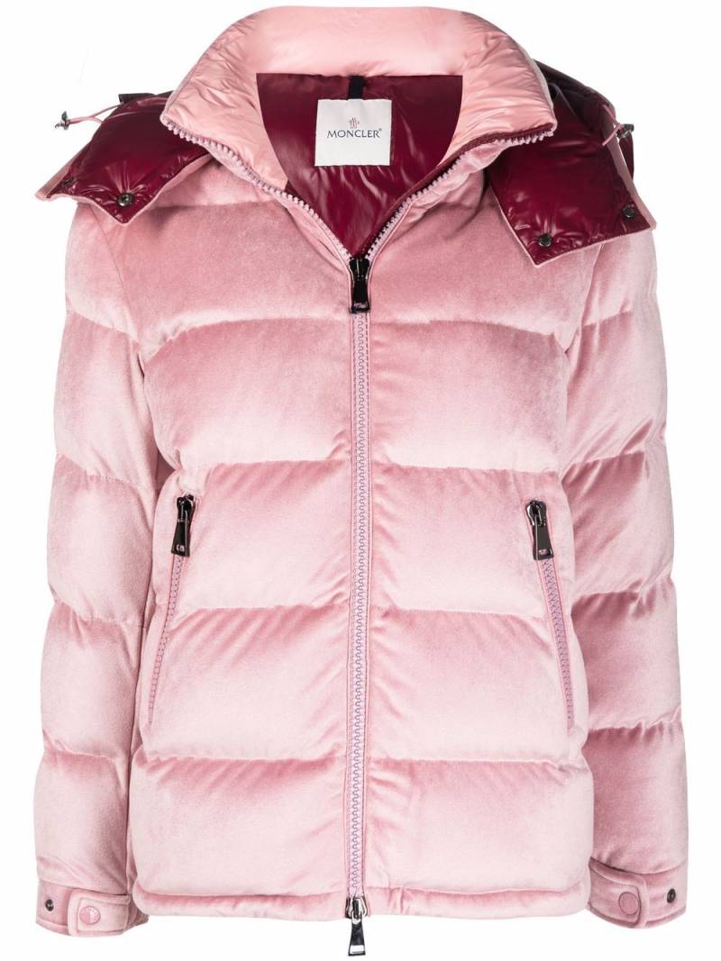 Moncler Holostee velvet puffer jacket - Pink von Moncler