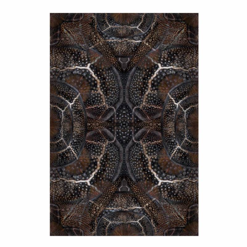 Blooming Seadragon Teppich, Grösse 266 x 400 cm von Moooi Carpets
