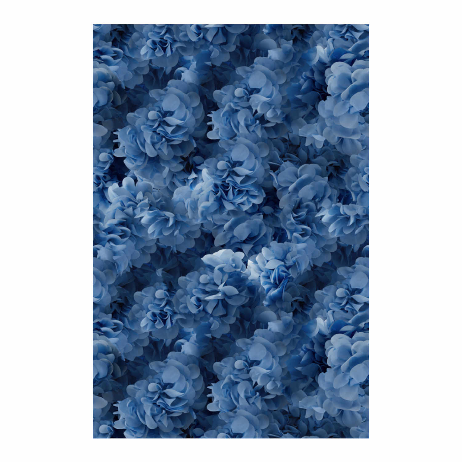 Hortensia Teppich, Farbe blue, Grösse 200 x 300 cm von Moooi Carpets