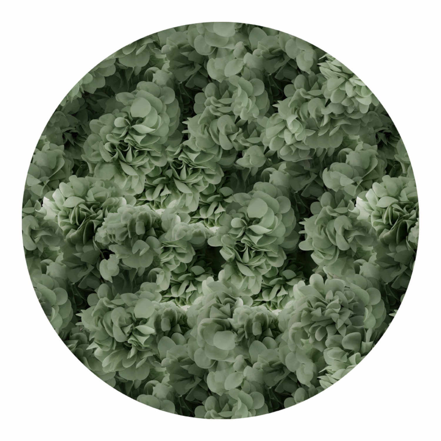 Hortensia Teppich, Farbe green, Grösse d. 250 cm von Moooi Carpets
