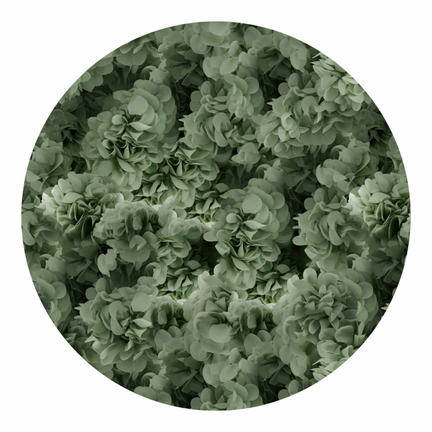 Hortensia Teppich, Farbe green, Grösse d. 350 cm von Moooi Carpets