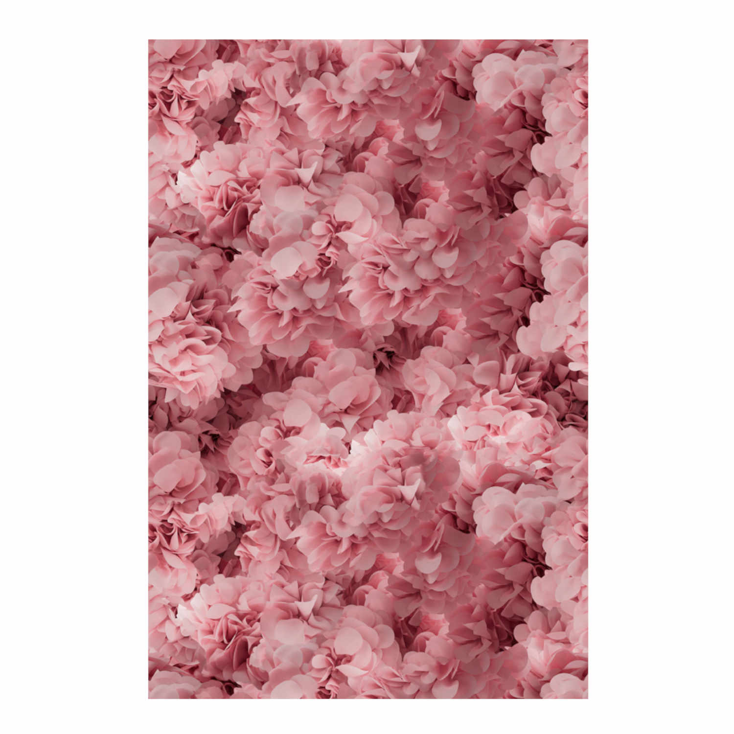 Hortensia Teppich, Farbe pink, Grösse 200 x 300 cm von Moooi Carpets