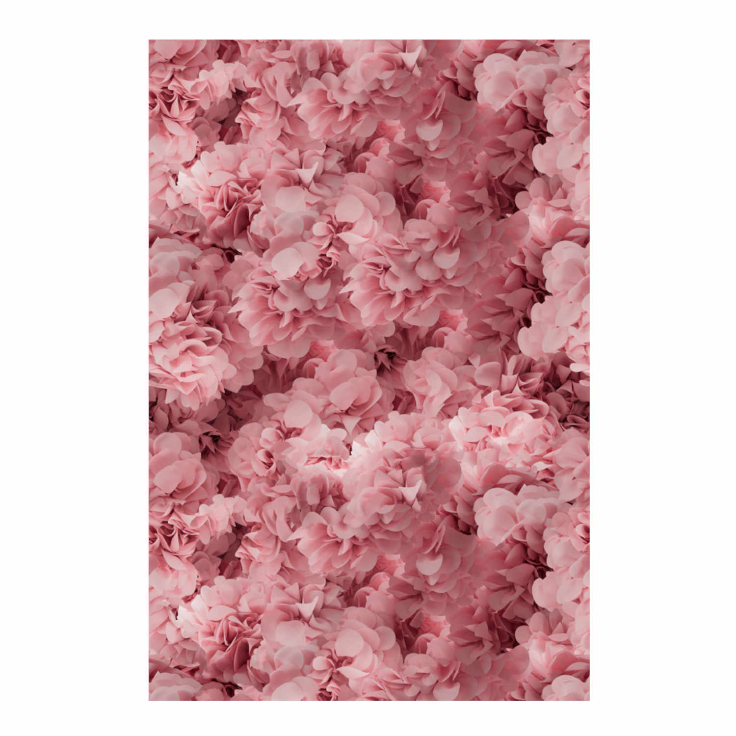 Hortensia Teppich, Farbe pink, Grösse 300 x 400 cm von Moooi Carpets