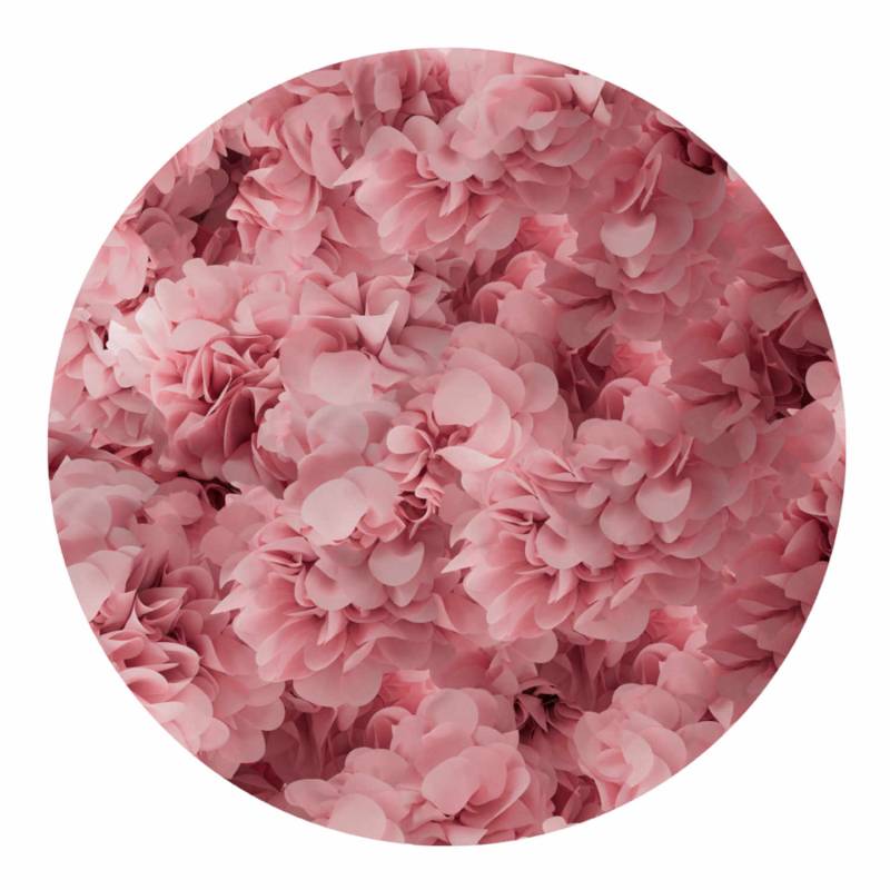 Hortensia Teppich, Farbe pink, Grösse d. 350 cm von Moooi Carpets