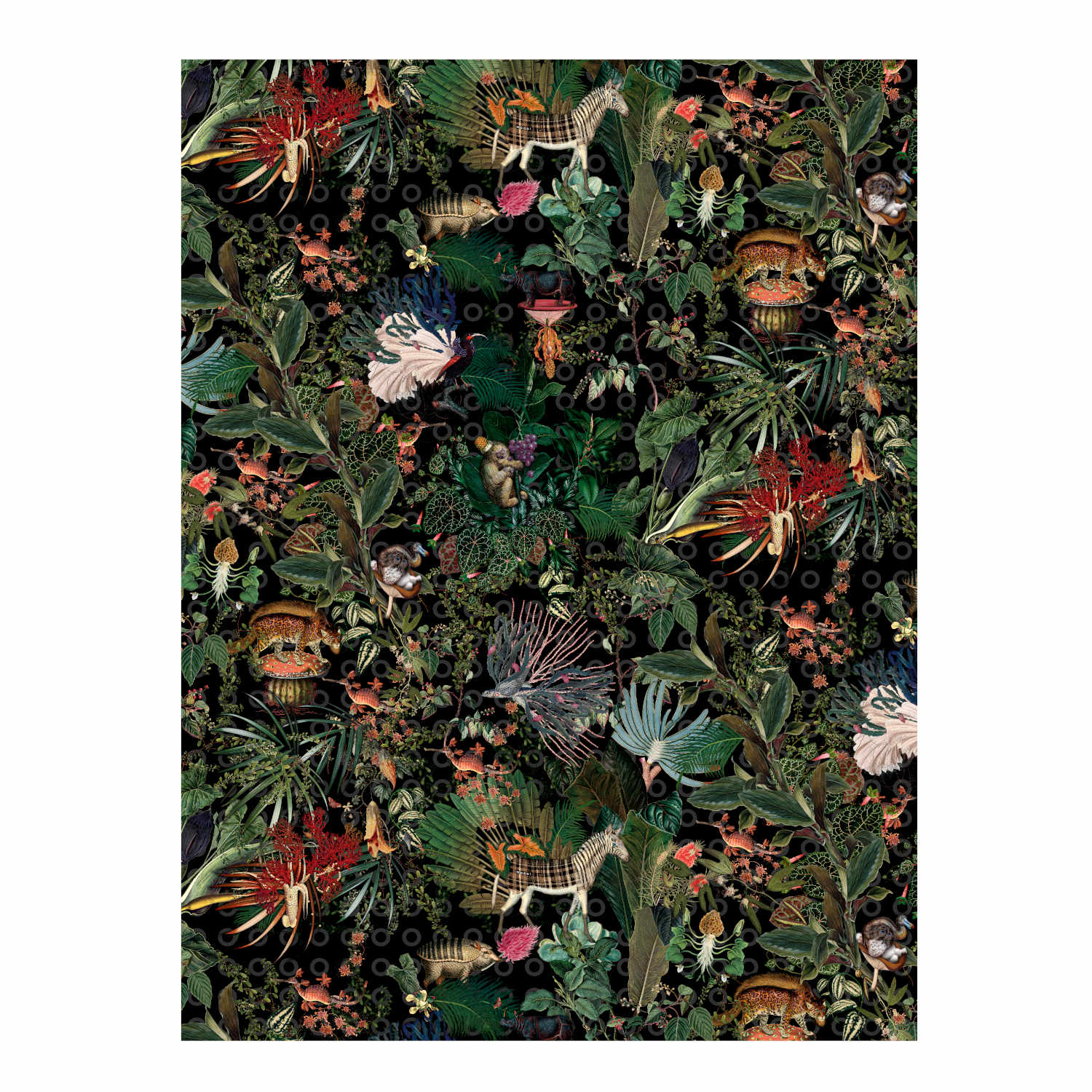 Menagerie of Extinct Animals Teppich, Farbe raven, Grösse 300 x 400 cm von Moooi Carpets