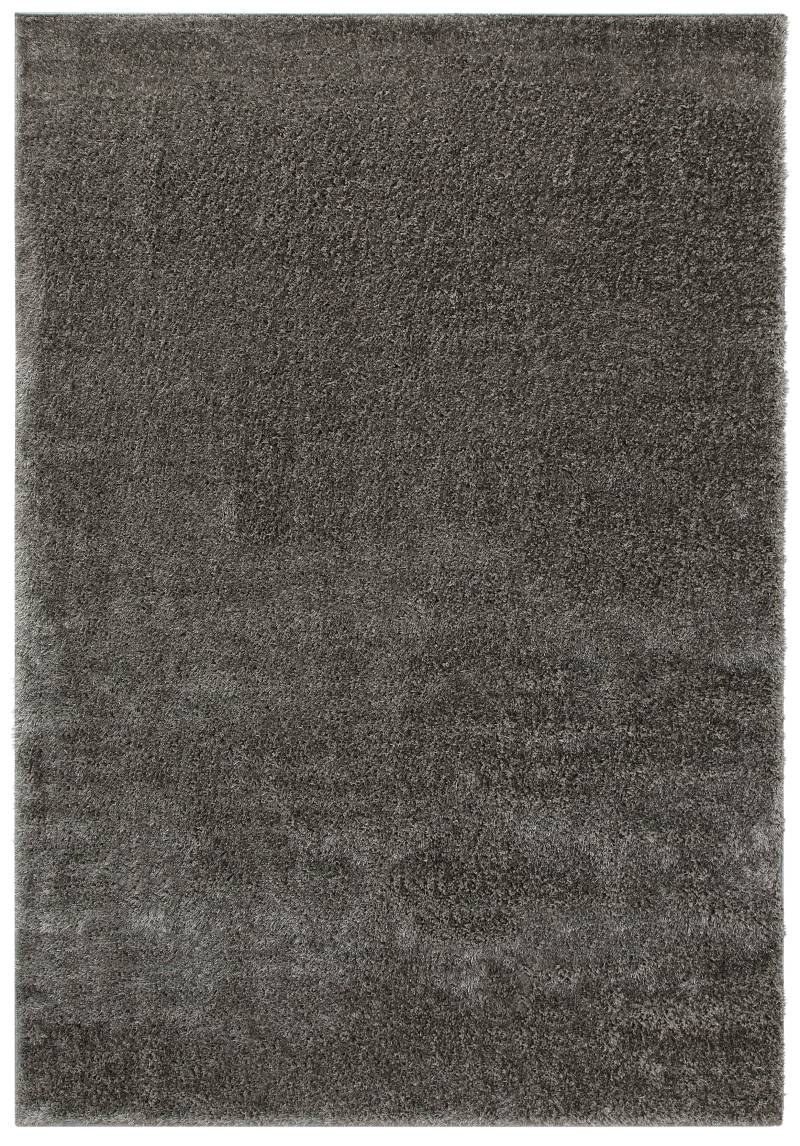 my home Hochflor-Teppich »Mikro Soft Ideal«, rechteckig, 30 mm Höhe, Microfaser, extra flauschig, Weich, Pflegeleicht, Elegant, Uni von My Home