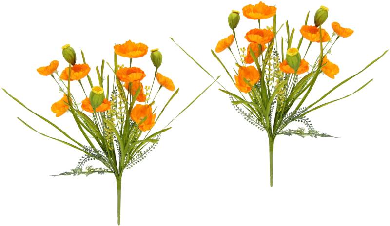 my home Kunstblume »Mohnblumen«, 2er Set von My Home