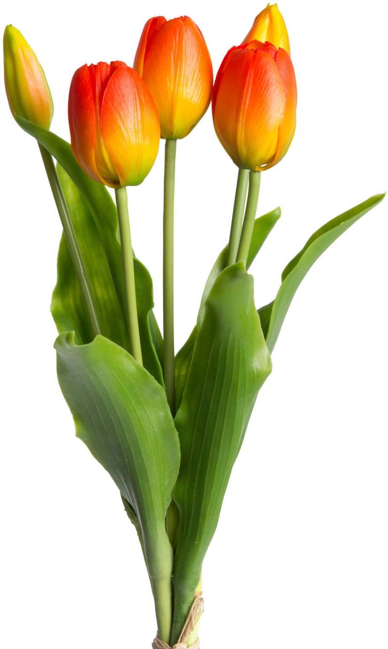 my home Kunstblume »Tulpenbündel Holland real Touch« von My Home