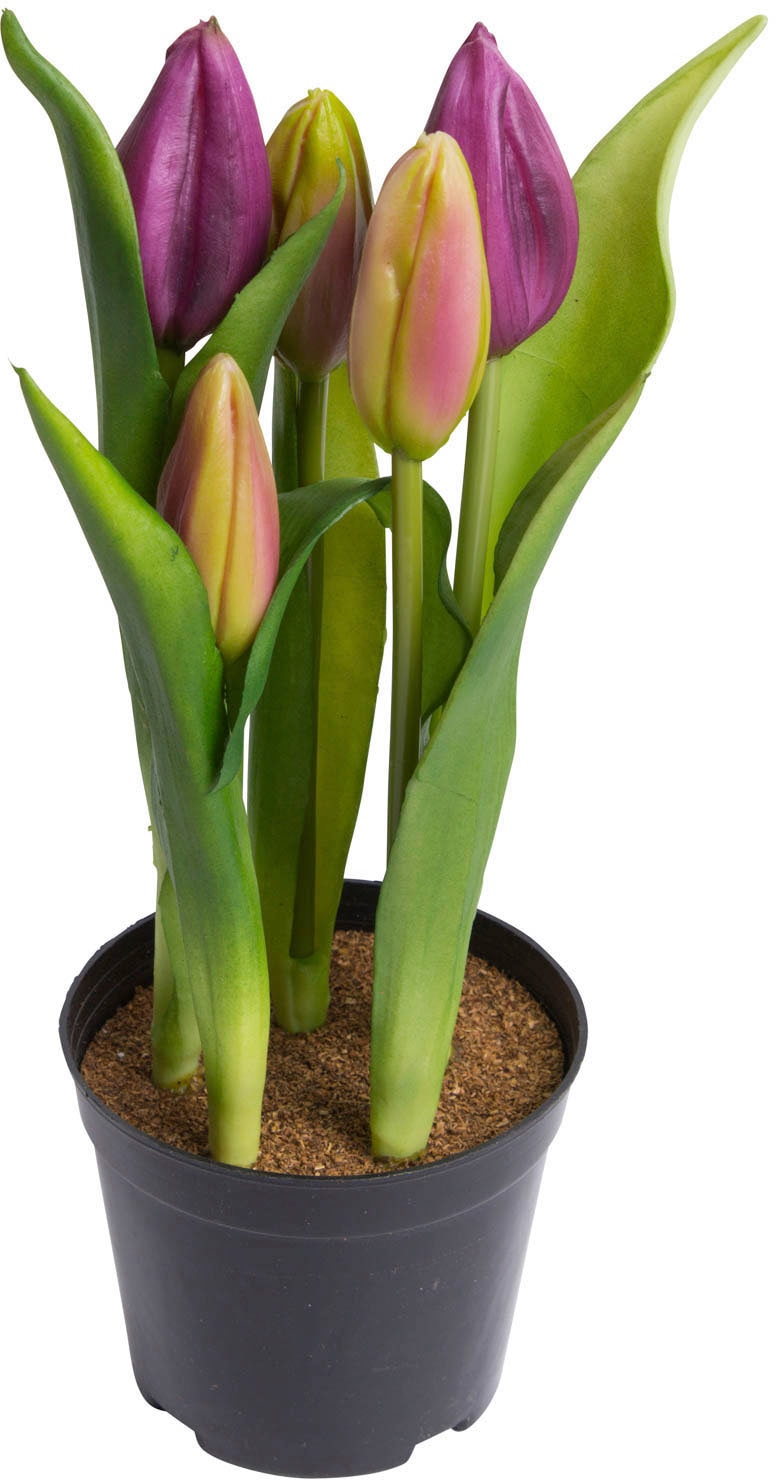 my home Kunstblume »Tulpenpflanze mit 5 Knospen« von My Home