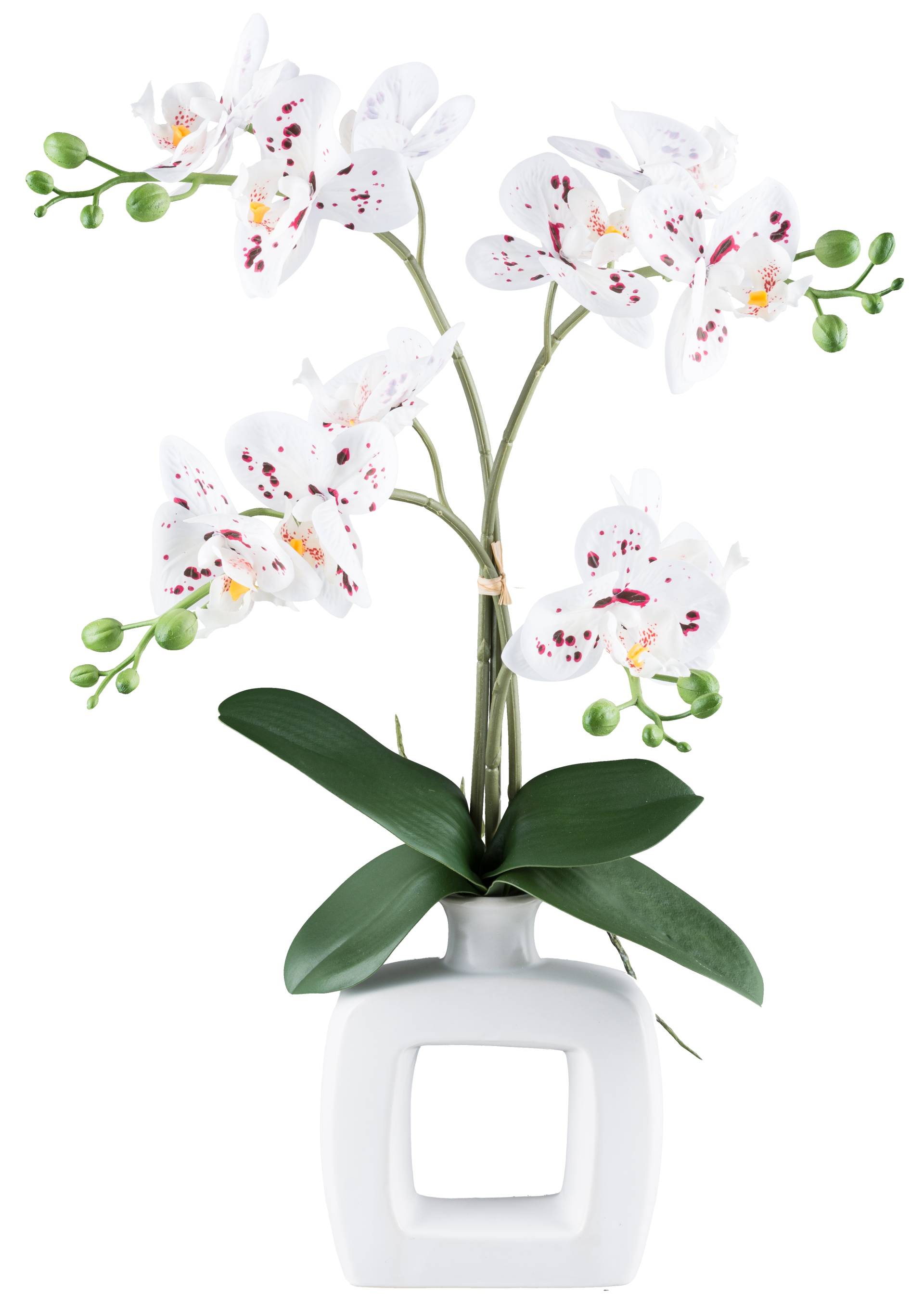 my home Kunstorchidee »Orchidee Phalaenopsis« von My Home