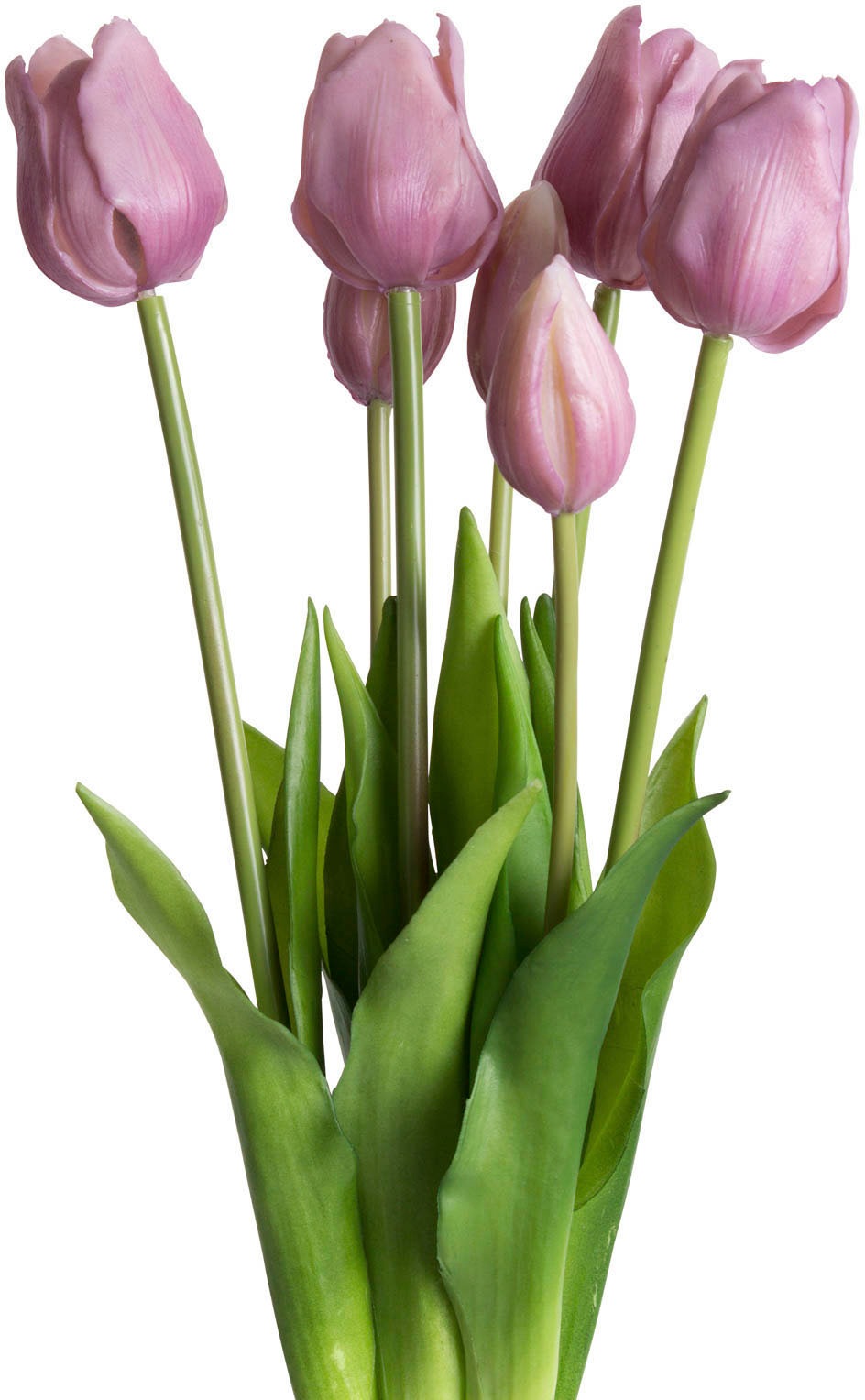 my home Kunstpflanze »Maiva«, Tulpenbündel im 7er-Set my home Kunstpflanze »Maiva«, Tulpenbündel im 7er-Set von My Home