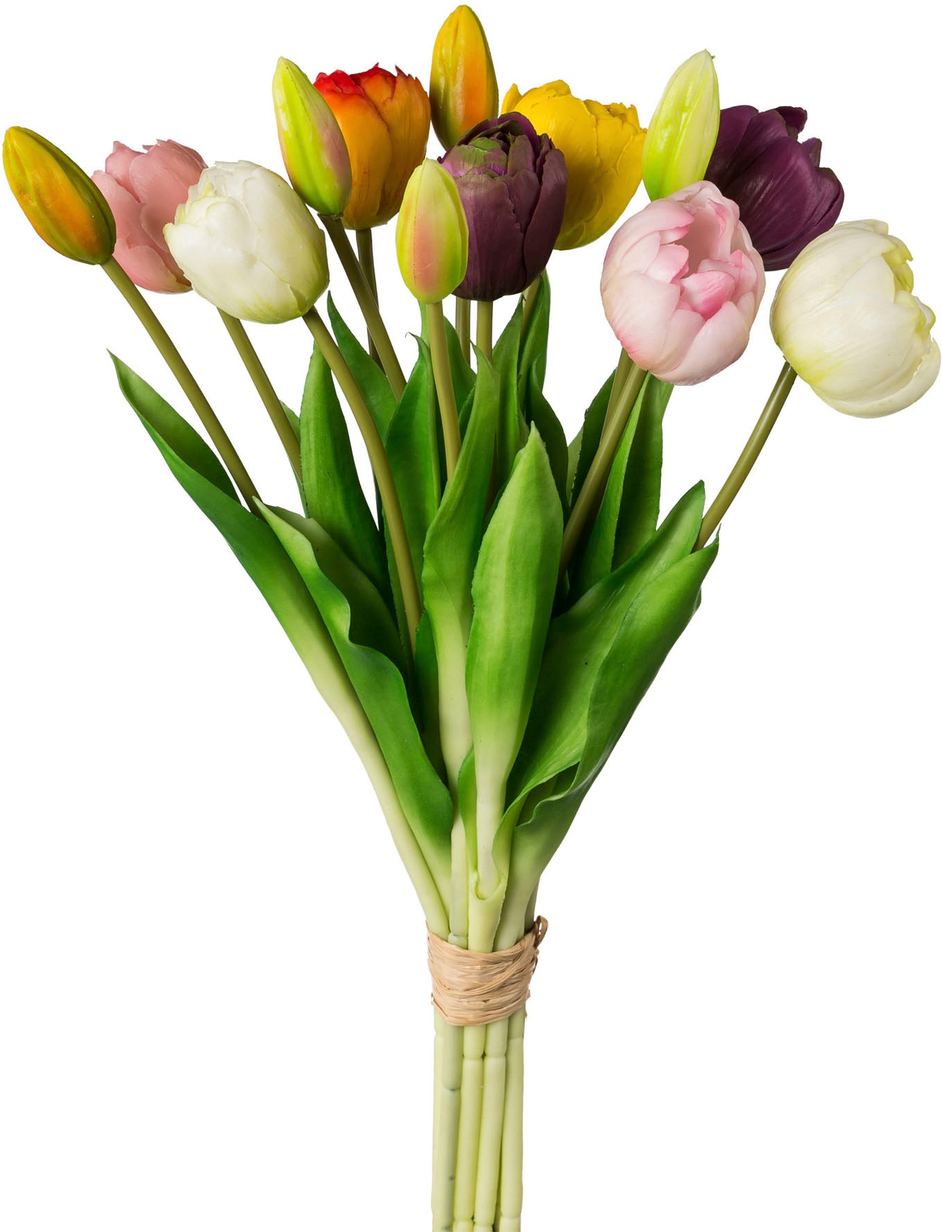 my home Kunsttulpe »Gefüllte Tulpen« von My Home