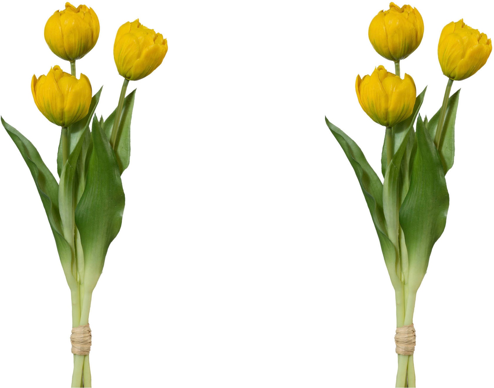 my home Kunsttulpe »Gefüllte Tulpen« von My Home