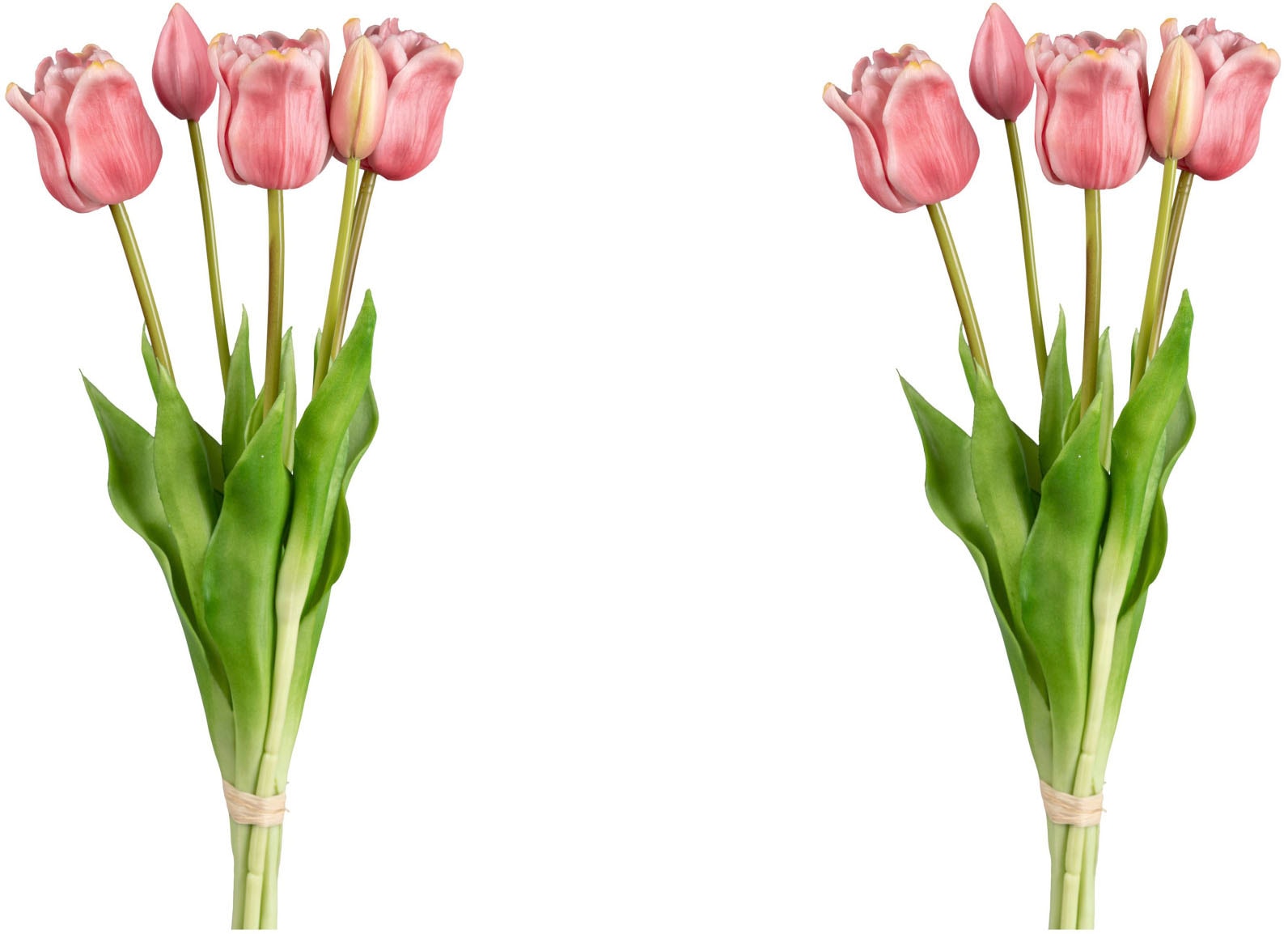 my home Kunsttulpe »Papageientulpenbund« my home Kunsttulpe »Papageientulpenbund« von My Home